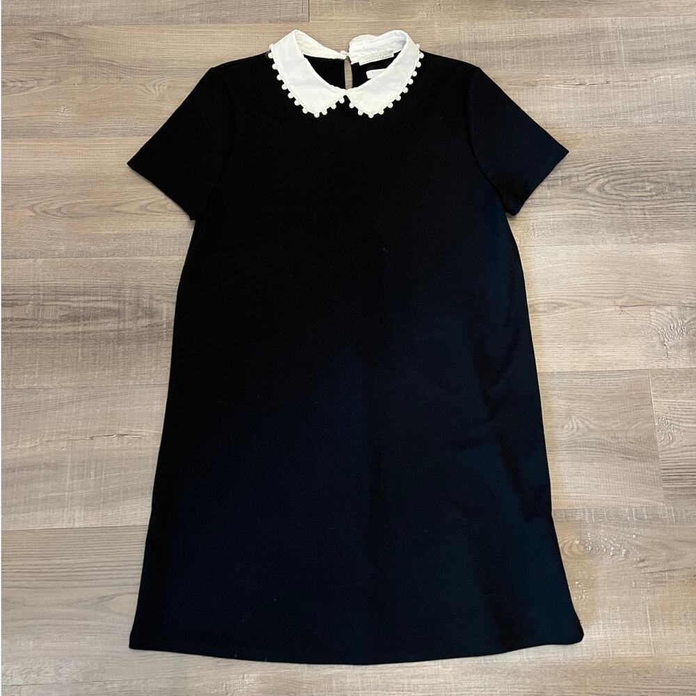 Zara Trafaluc Black & White Pearl Collar Sheath Dress